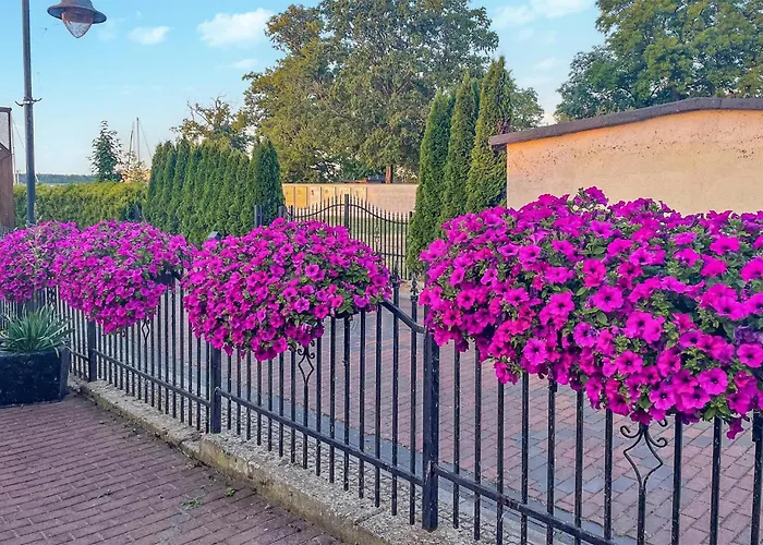 Awesome In شقة نوفي فاربنو